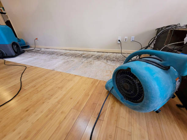 Professional Water Damage Repair technician working in Rocky Hill, NJ